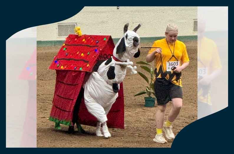 Accessibility at the Fair: Where Inclusion Meets Llamas, Disco Balls, and a Little Planning